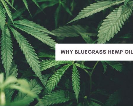 why bluegrass hemp oil