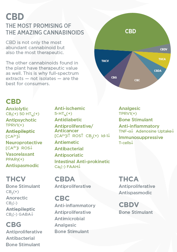 CBD amazing cannabinoids