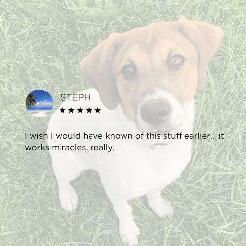 Image of a brown and white dog alongside a 5-star product review from Steph expressing gratitude for the product's miraculous effects.