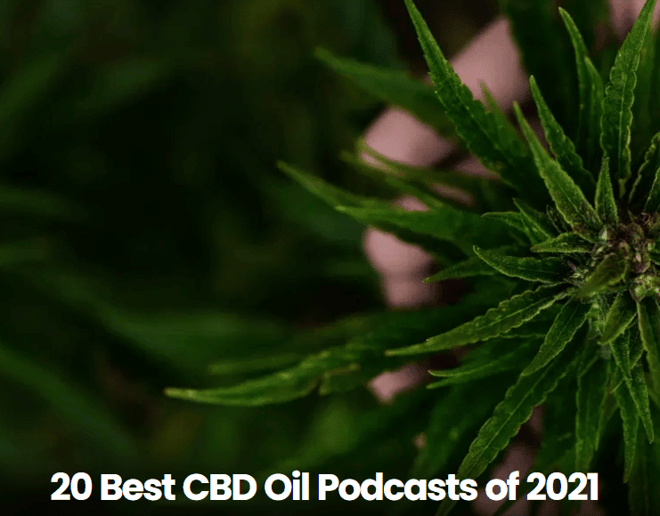 Top CBD Podcast Nominated by CBDevious