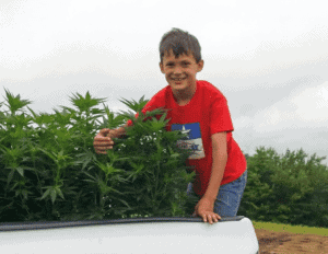 A young boy standing in a field of hemp plants, his arm around one of the plants.