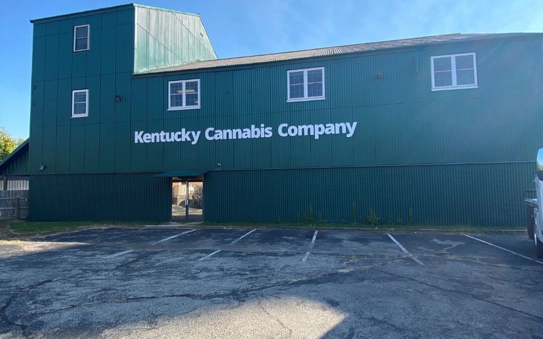 CBD Store in Midway, KY | Bluegrass Hemp Oil