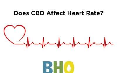 Does CBD Affect Heart Rate?
