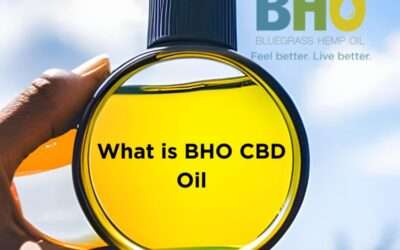What is BHO CBD Oil