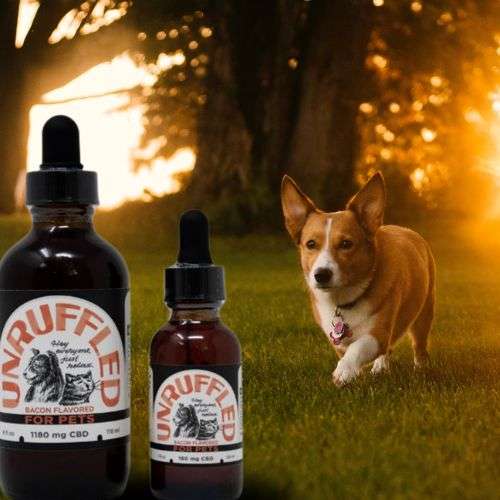 Unruffled CBD oil for pets Bacon flavored and two white dogs.