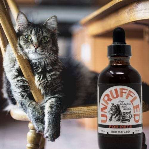 Unruffled CBD oil for pets with lazy cat