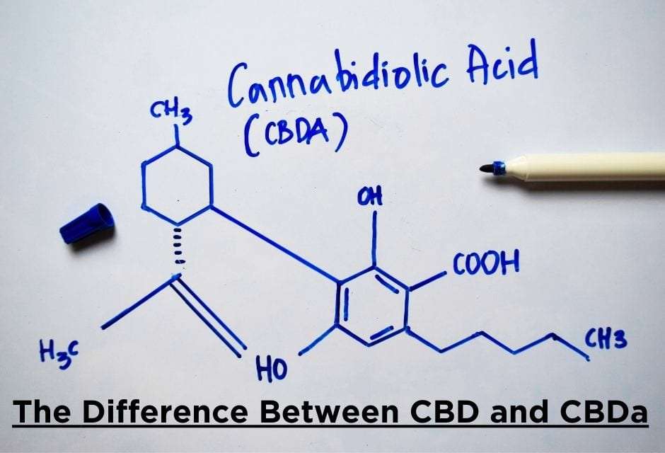 The difference between CBD and CBDa