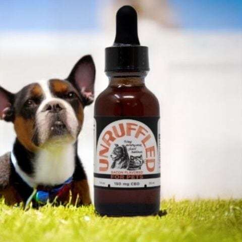 How to Choose the Right CBD Oil for Dogs