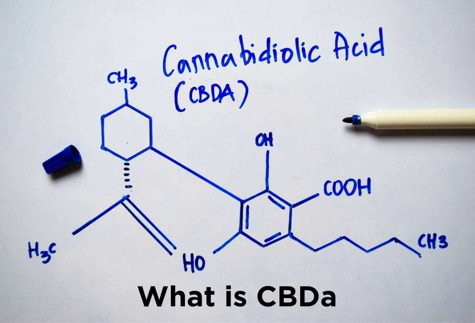 What is CBDa