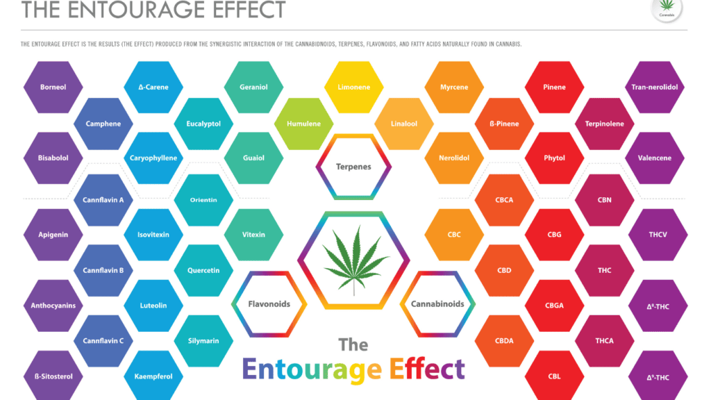 An illustration representing The Entourage Effect in cannabis, showing a diverse array of cannabis plant compounds working synergistically to enhance therapeutic effects.