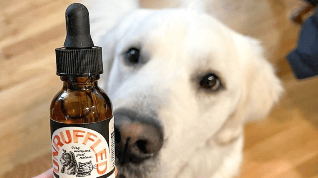 A dog looking at a bottle of Unruffled CBD Oil for pets