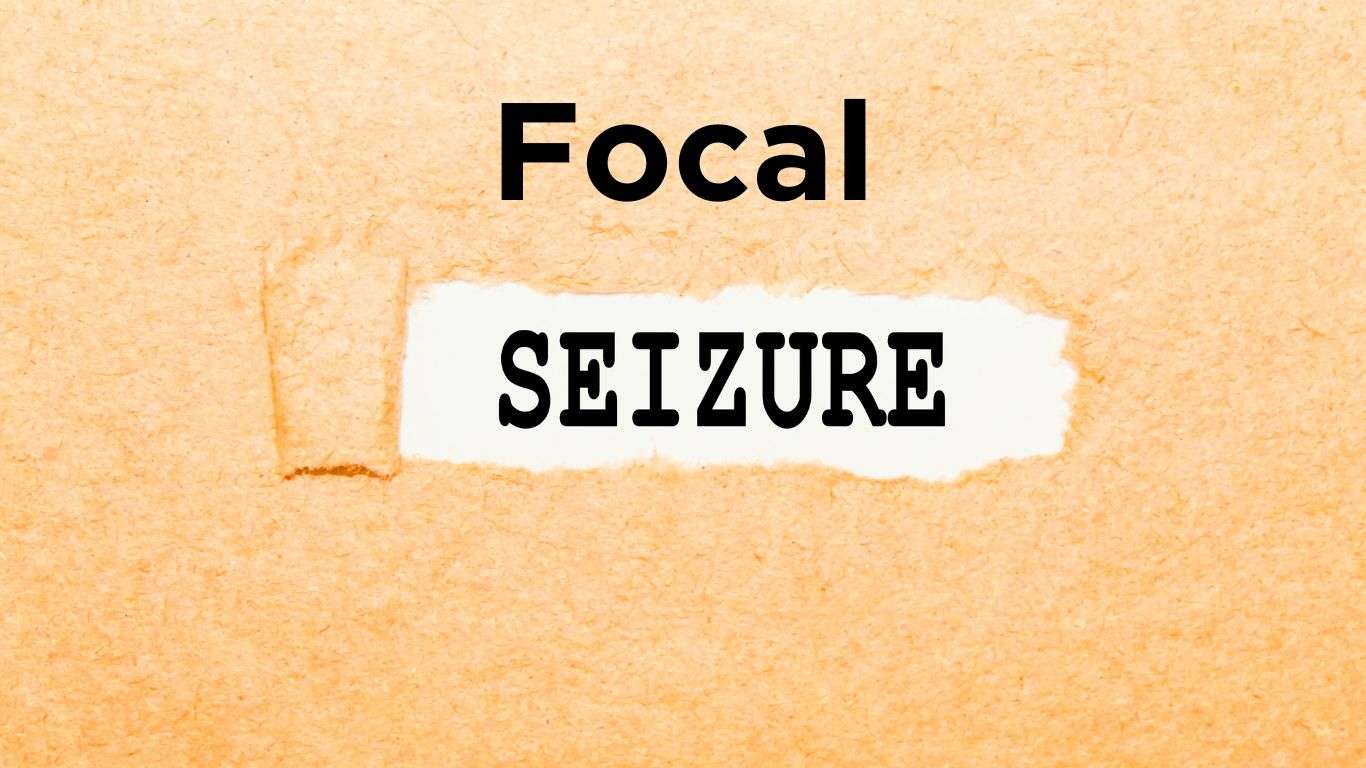 Graphic displaying the text 'Focal Seizure' for educational purposes