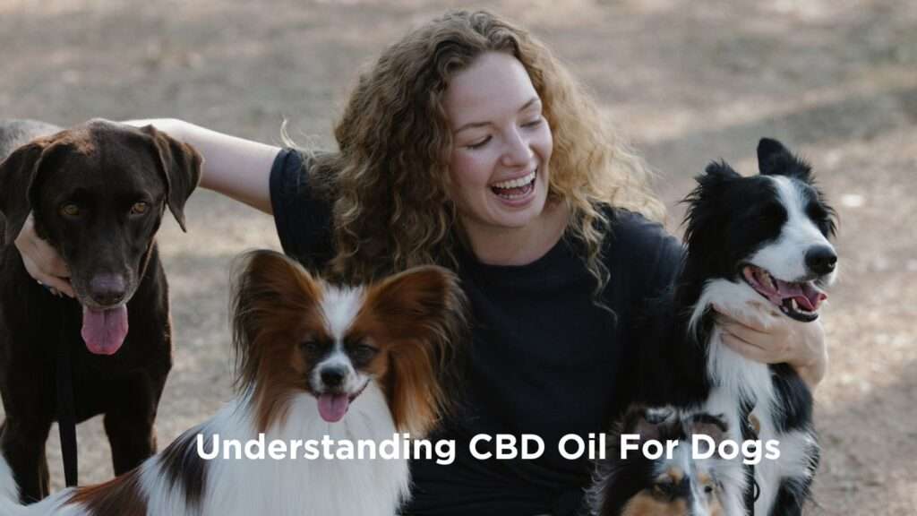 A woman stands with three dogs beside her, while the words "Understanding CBD Oil for Dogs"appear in bold letters.