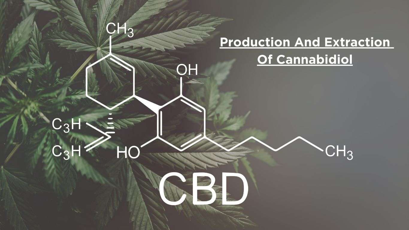 Molecular structure of Cannabidiol with the words Production and Extraction of Cannabidiol.