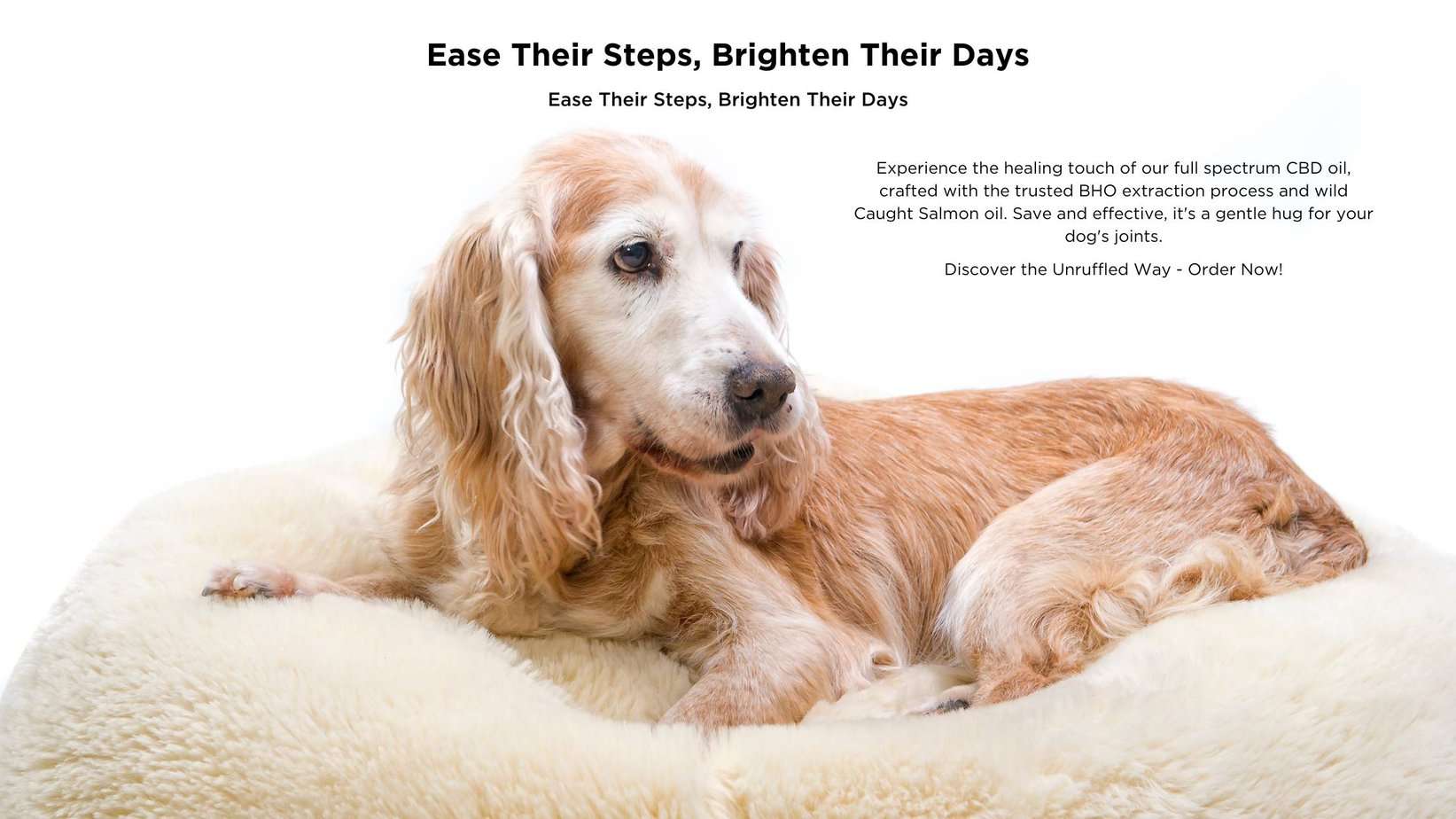 An older setter resting comfortably on a dog bed, with the text 'Ease Their Steps, Brighten Their Days. Experience the healing touch of our full spectrum CBD oil, crafted with the trusted BHO extraction process and wild Caught Salmon oil. Safe and effective, it's a gentle hug for your dog's joints.' A photo of Unruffled CBD oil for Pets is also shown.
