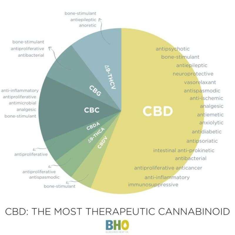A pie chart of the different cannabinoids, such as CBD, THC, CBG, CBC, CBDA, THCV, and CBDV.