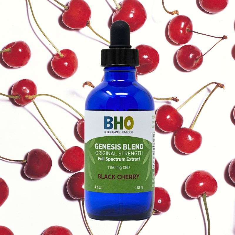 A four-ounce bottle of Genesis Blend Full Spectrum CBD oil Black Cherry flavor sits on a white background, surrounded by ripe black cherries.