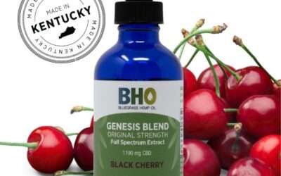 Genesis Blend Full Spectrum Hemp CBD Oil Black Cherry 1oz