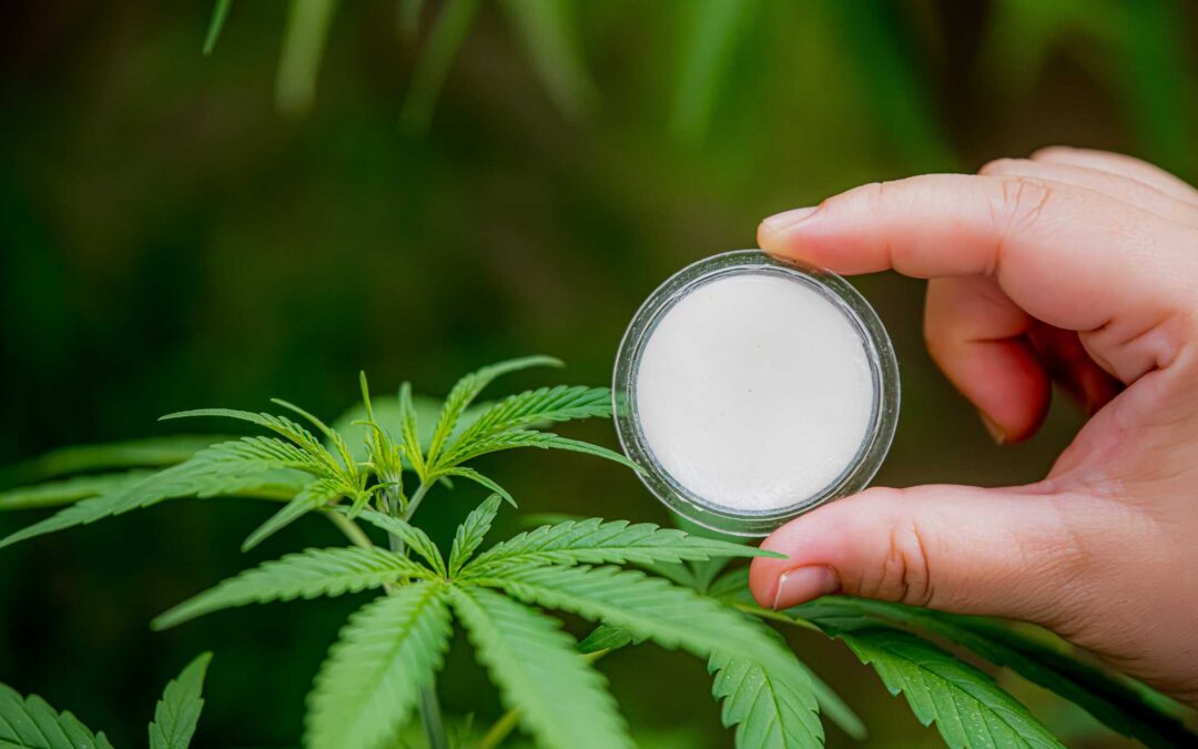 A selection of full spectrum CBD products, including gummies and oils, from Kentucky Cannabis Company.