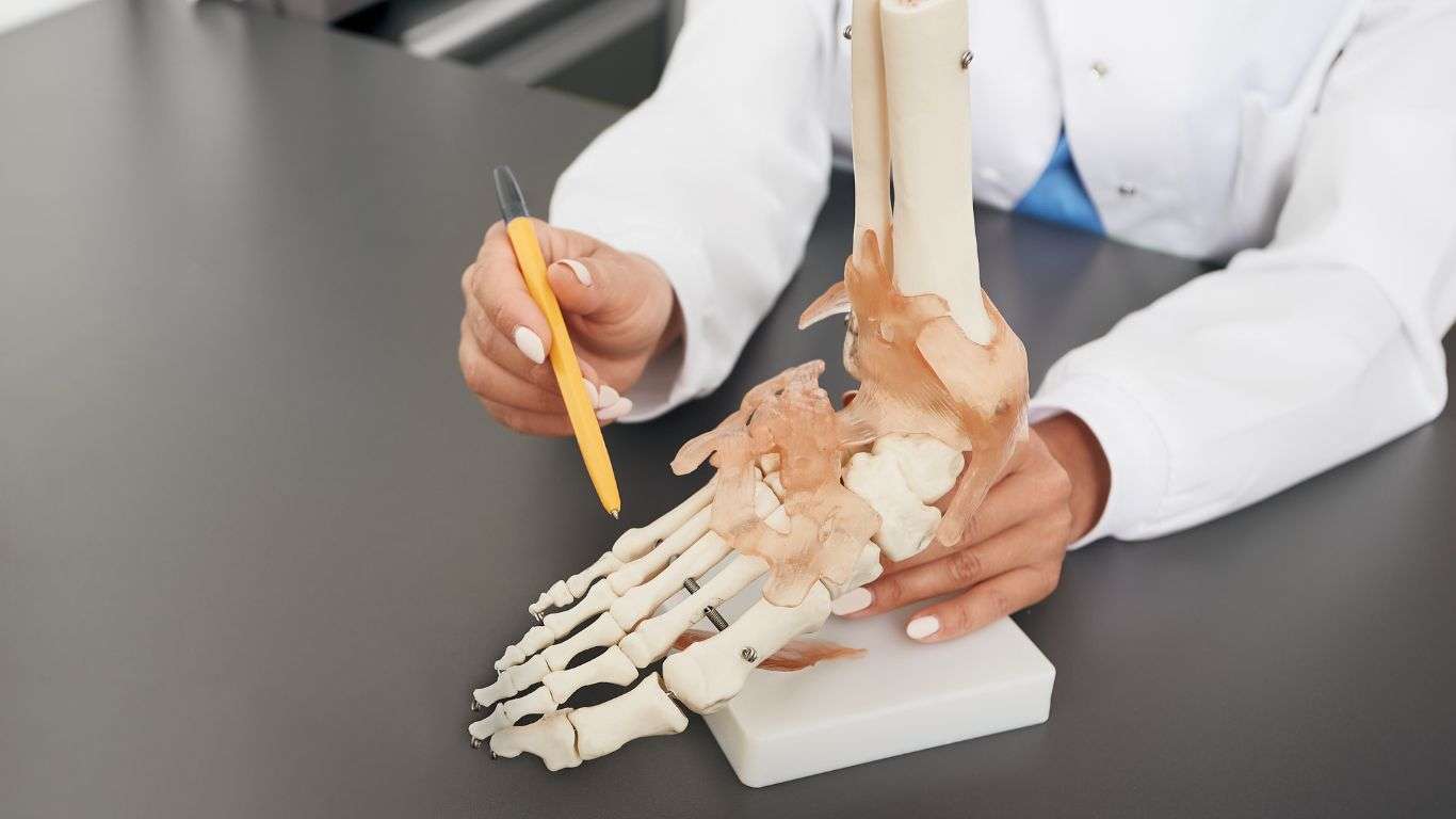 A doctor stands beside a skeletal model of a human foot, pointing to areas affected by arthritis. The image captures the doctor in a white coat, using a pointer to highlight specific joints on the foot skeleton, illustrating common arthritis sites.