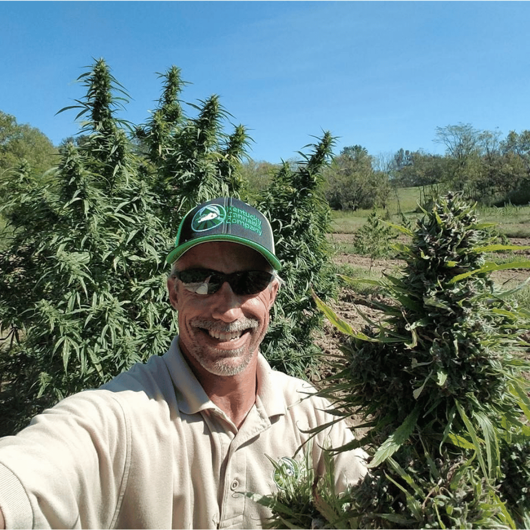 Bill Polyniak holding a large hemp bloom from unique genetics rich in cannabinoids.