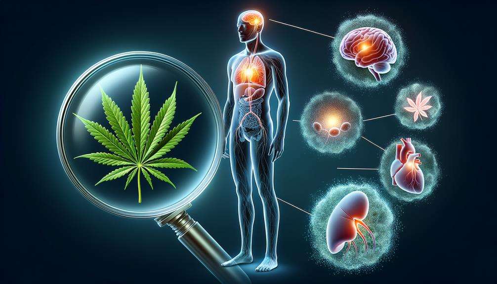 exploring cannabinoids and health