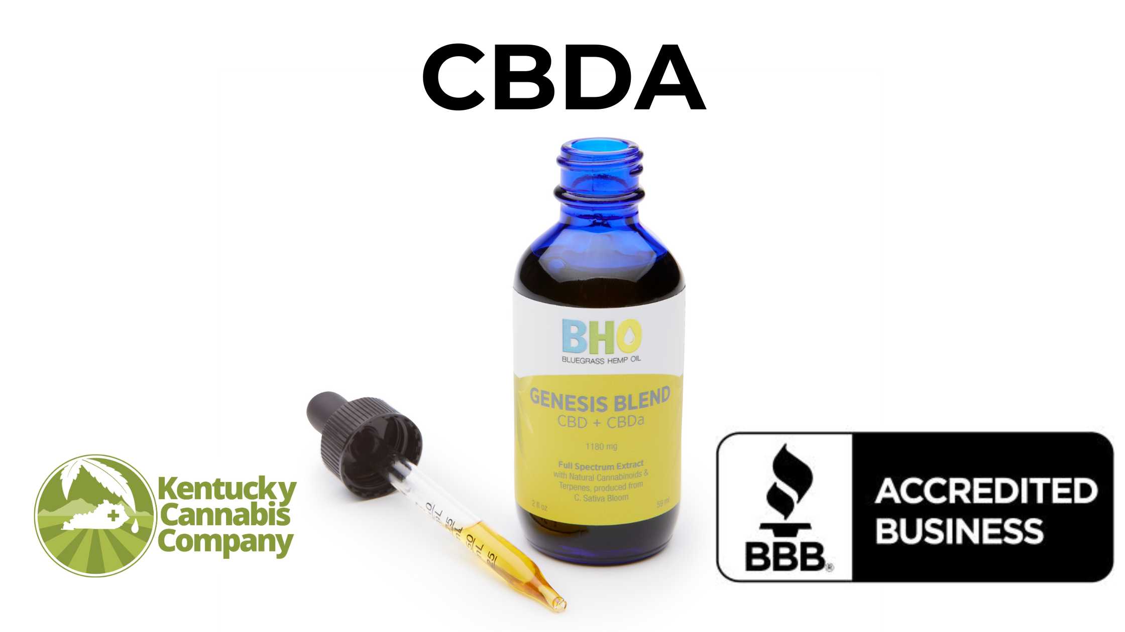 Bottle of Genesis Blend CBDA oil from Bluegrass Hemp Oil, crafted by the Kentucky Cannabis Company.
