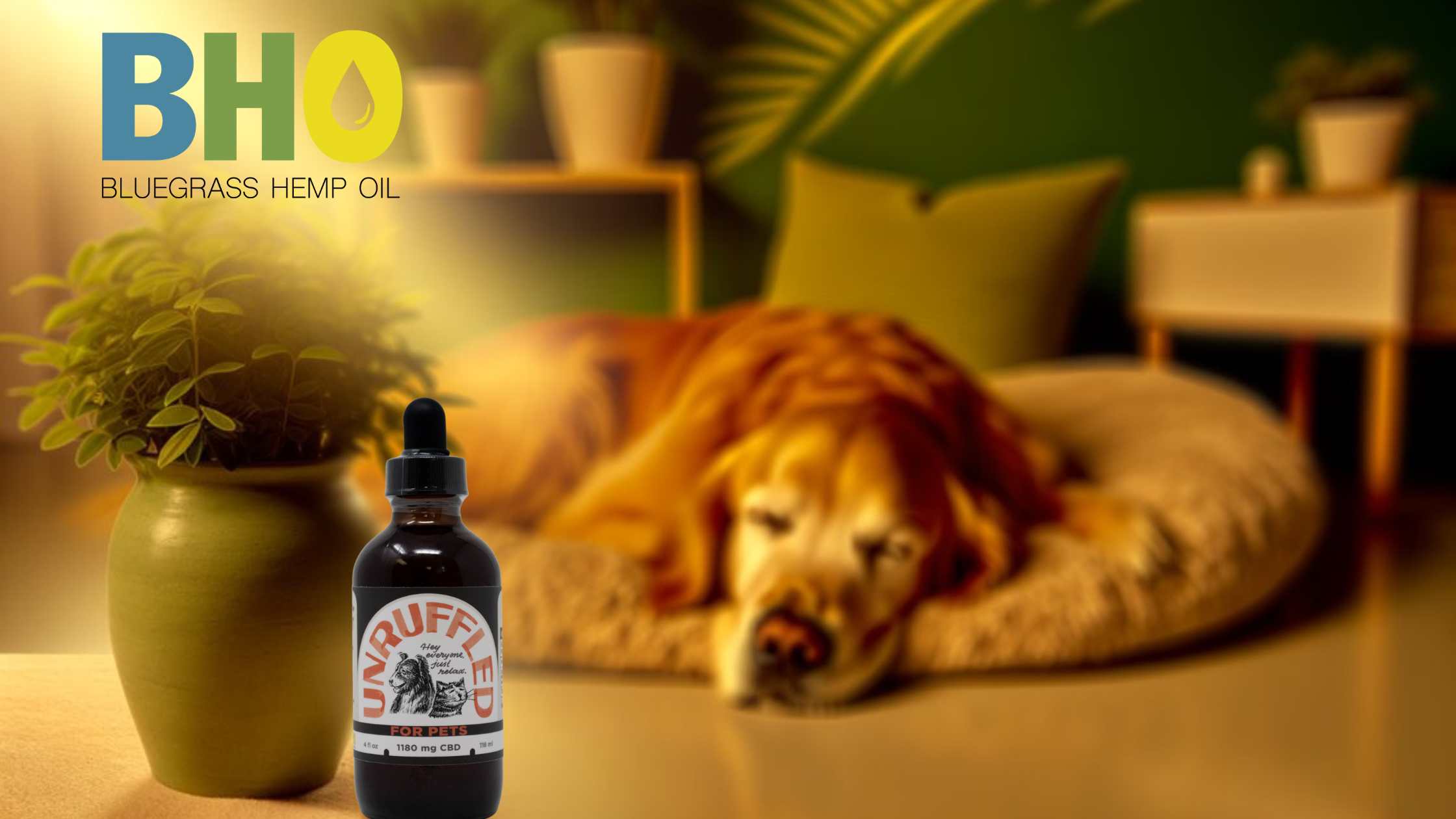 Elements of Oncology - Strategies for Managing Cancer Pain in Dogs & Cats