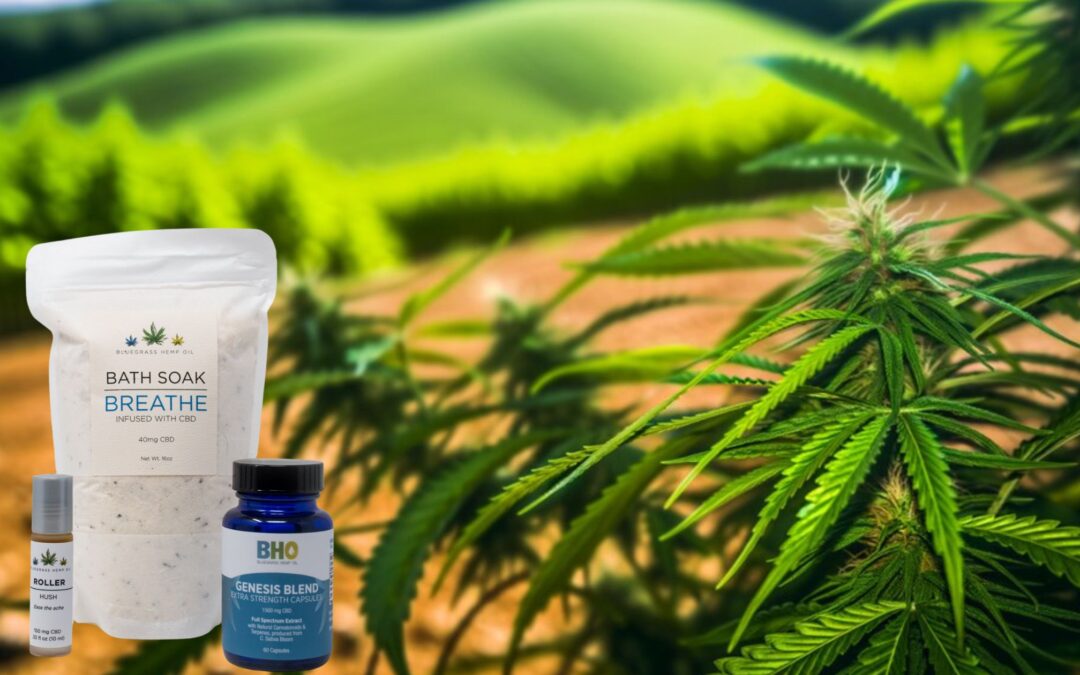 Types of CBD: Full-Spectrum vs Broad-Spectrum vs Isolate