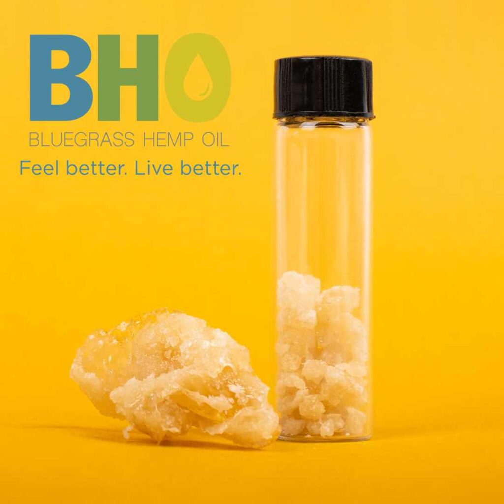 Two vials, one containing a dark, viscous oleoresin extract and the other containing a fine white powder of isolated CBD.