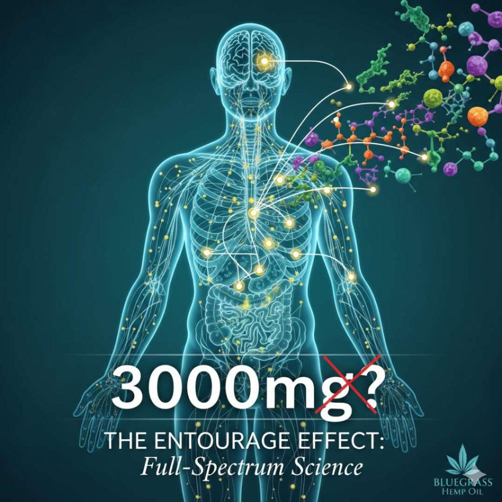 Illustration of the human body showing the widespread Endocannabinoid System (ECS) interacting with a full cannabinoid profile. This graphic visually explains the Entourage Effect and contrasts its efficacy with the high-milligram claim of cheap 3000mg CBD isolate.